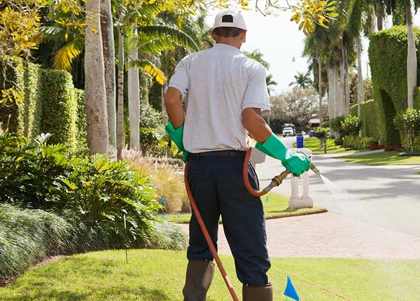 About Indian Hills CO Pest Control